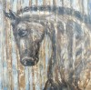 Gallery Image 32