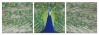Small Image Thumbnail 18