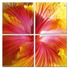 Small Image Thumbnail 14