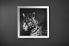 Small Image Thumbnail 18