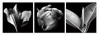 Small Image Thumbnail 140