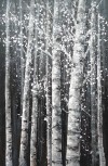 Small Image Thumbnail 115
