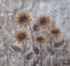 Small Image Thumbnail 114