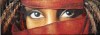 Small Image Thumbnail 45