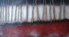 Small Image Thumbnail 78