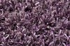 Small Image Thumbnail 173