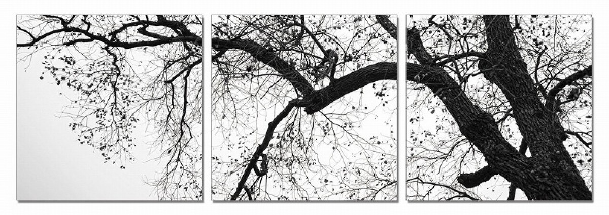 Small Image Thumbnail 182