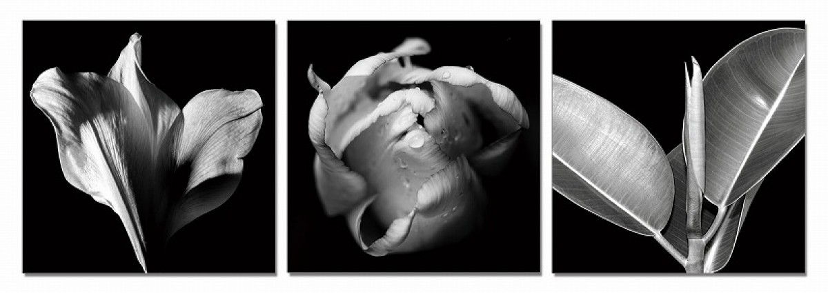Small Image Thumbnail 105