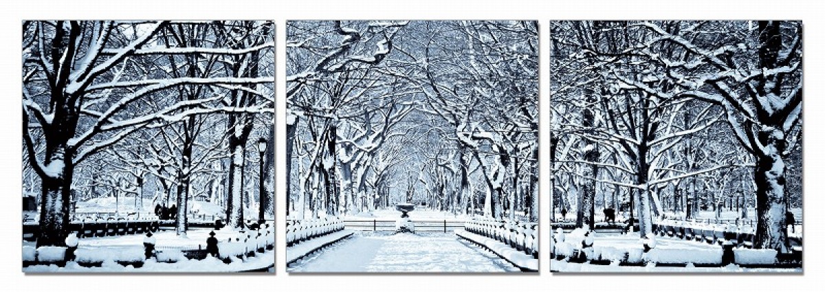 Small Image Thumbnail 172