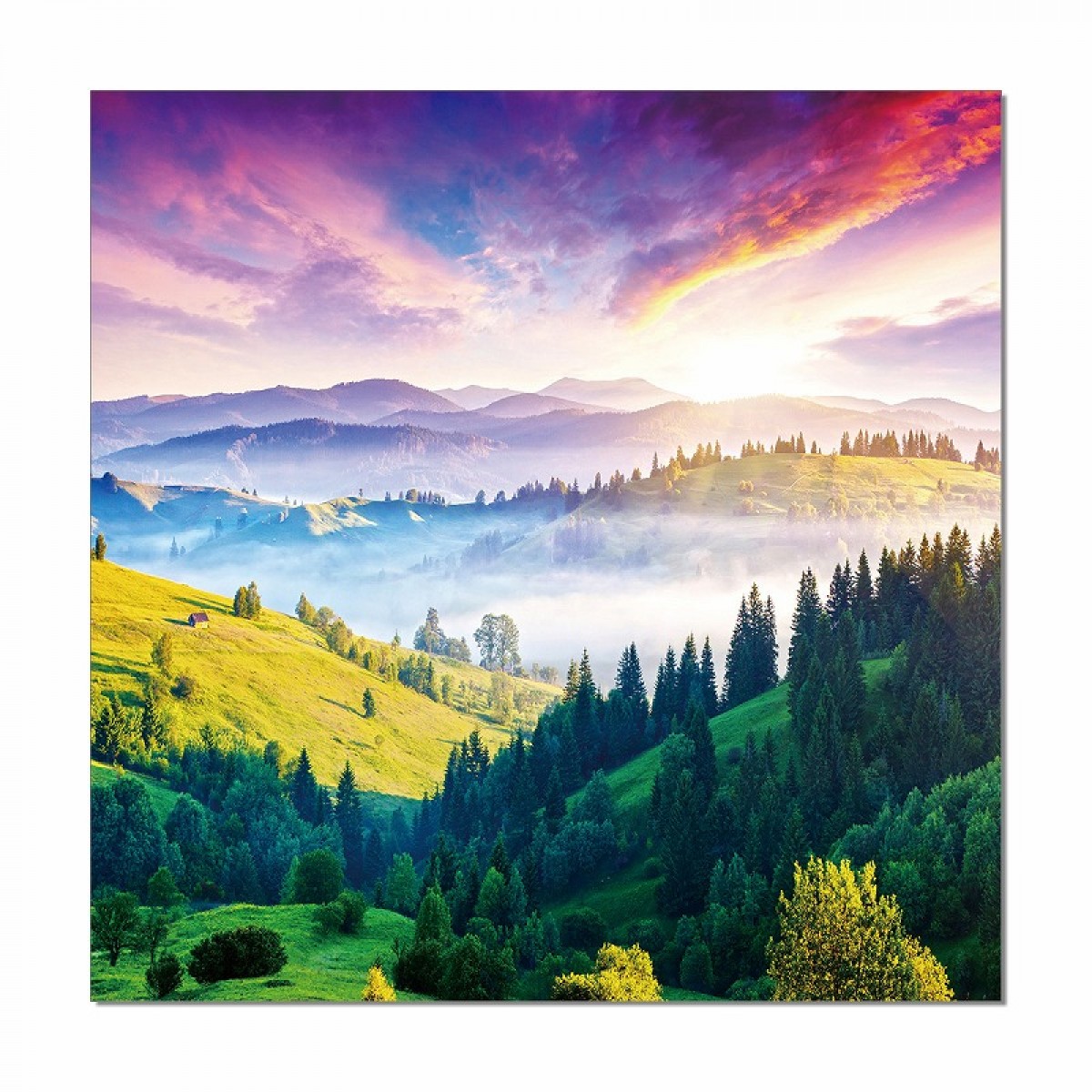 Small Image Thumbnail 5