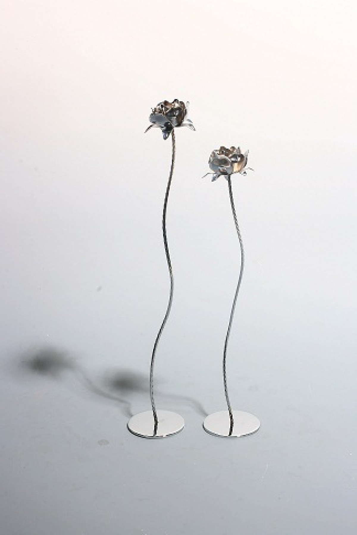 Gallery Image 22