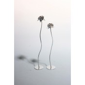 Related Product 84