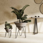 Related Product 22