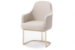 Modrest Tyler Modern Grey & Gold Dining Chair