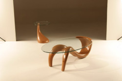 CT-11 Elegant Coffee Table