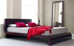 Curve Modern Platform Bed
