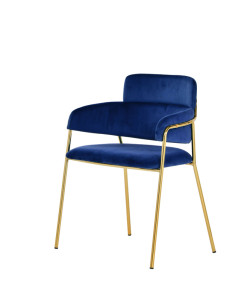 Modrest Tessa Modern Blue Velvet & Gold Dining Chair (Set of 2)