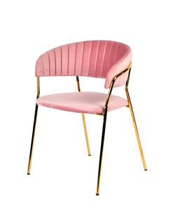 Modrest Brandy Modern Pink Fabric Dining Chair (Set of 2)