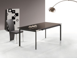 Sofia Modern Glass table