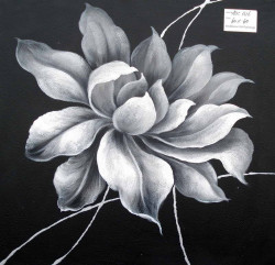 Modrest C1316 24"x24" Oil Painting