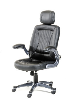 Modrest Principal Modern Black Office Chair w/ Headrest