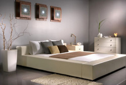 Prince Contemporary Platform bed 