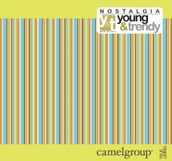 Young & Trendy Collection