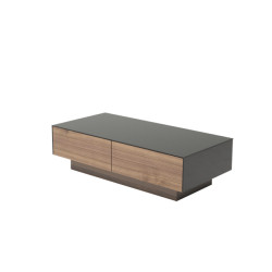 Modrest Darius Modern Walnut Coffee Table