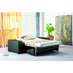 2920 Sofa bed