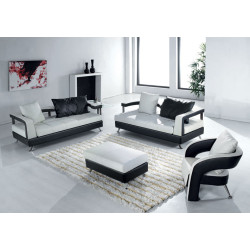 EV 5577 - Contemporary Leather Living Room Sofa Set