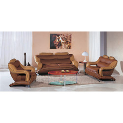 7055 Modern dark brown and light brown leather living room set