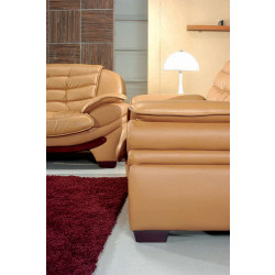 7174 Contemporary Camel Leather Living Room Set