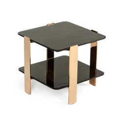Modrest Leroy Modern Ebony & Rosegold End Table