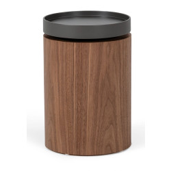 Modrest Bascom- Modern Grey and Walnut End Table