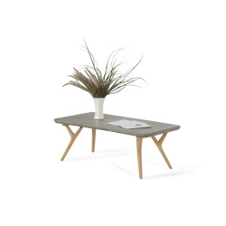 Modrest Dondi Concrete & Natural Oak Coffee Table