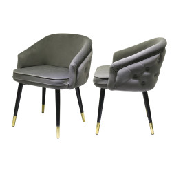 Modrest Elliot - Contemporary Grey & Black/Gold Dining Chair (Set of 2)