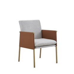 Modrest Pettit - Modern Light Grey/Camel and Brass Arm Dining Chair