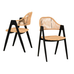 Modrest Gayle - Modern Rattan Dining Chair Set of 2
