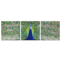 Modrest Peacock 3-Panel Photo on Canvas