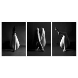 Modrest Legs 3-Panel Photo on Canvas