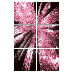 Modrest Blossom Trees 6-Panel Photo on Canvas