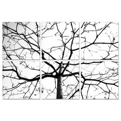 Modrest Winter Branches 6-Panel Photo