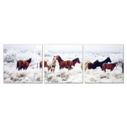 Modrest Mustangs 3-Panel Photo On Canvas