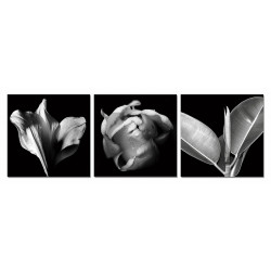 Modrest Black Composition 3-Panel Photo On Canvas