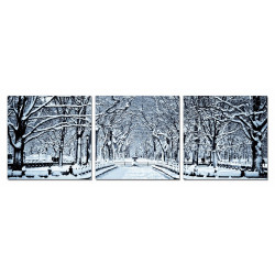 Modrest Winter Trees 3-Panel Photo