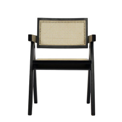Modrest Aurora Modern Rattan and Wenge Dining Arm Chair