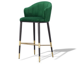Modrest Adak Modern Glam Green with Black & Gold Barstool