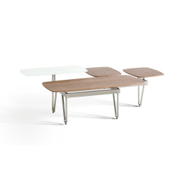 Modrest Aegean Contemporary Walnut and Glass Coffee Table