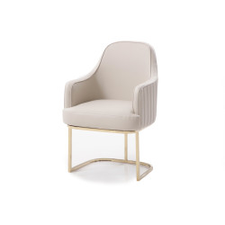 Modrest Tyler Modern Grey & Gold Dining Chair