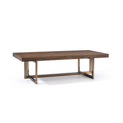 Modrest Pike Modern Elm & Antique Brass Coffee Table